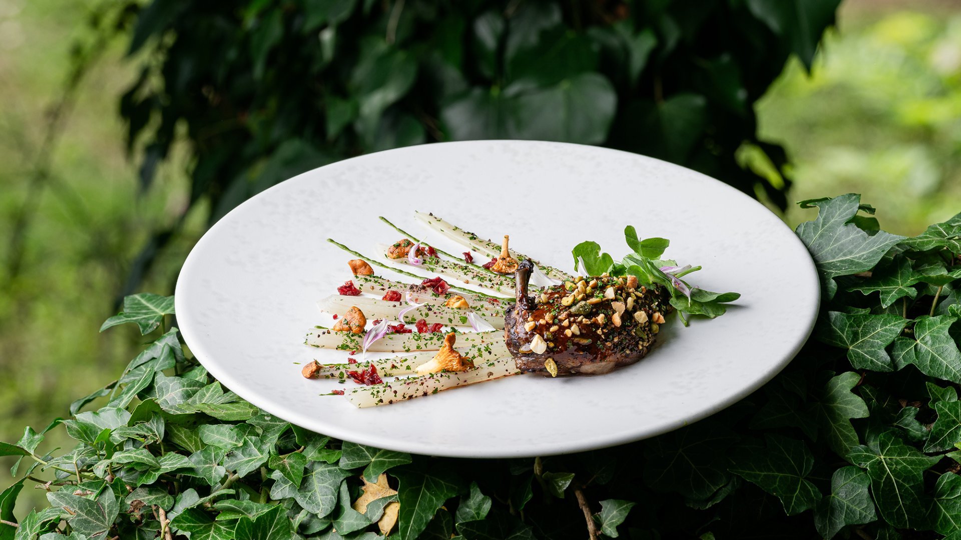 Châteauvieux - Pigeon